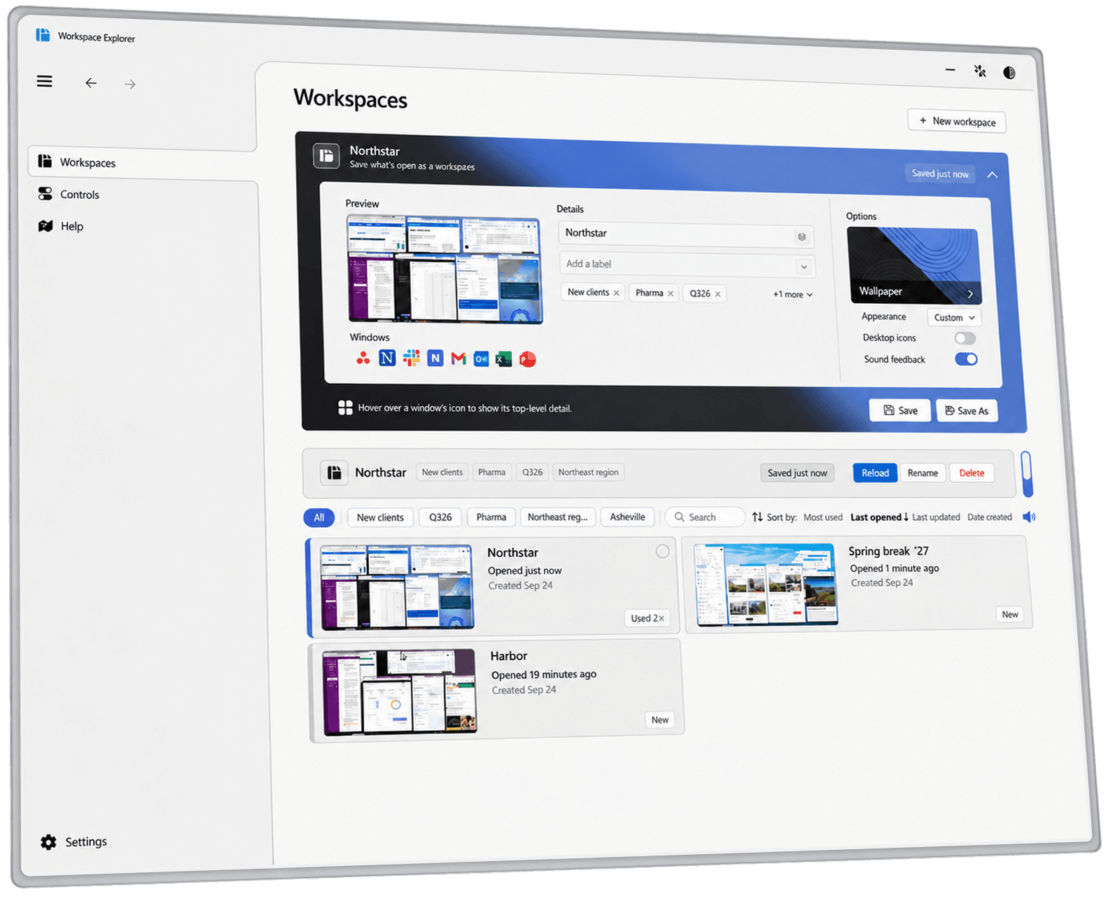 Workspace Explorer showing the saved Northstar workspace and its windows, files, and options